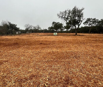 Land-clearing equipment at work on a Texas property