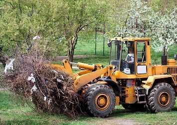 Improve Your Property With Land Clearing Services