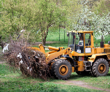Stump Grinding